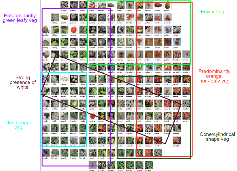 5Marked Inception v3 labelled image grid